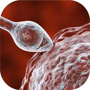 Egg Donation - Gearing Up for Egg Transplant