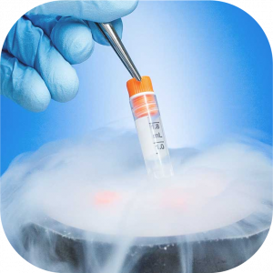 Get to Know about Egg Freezing