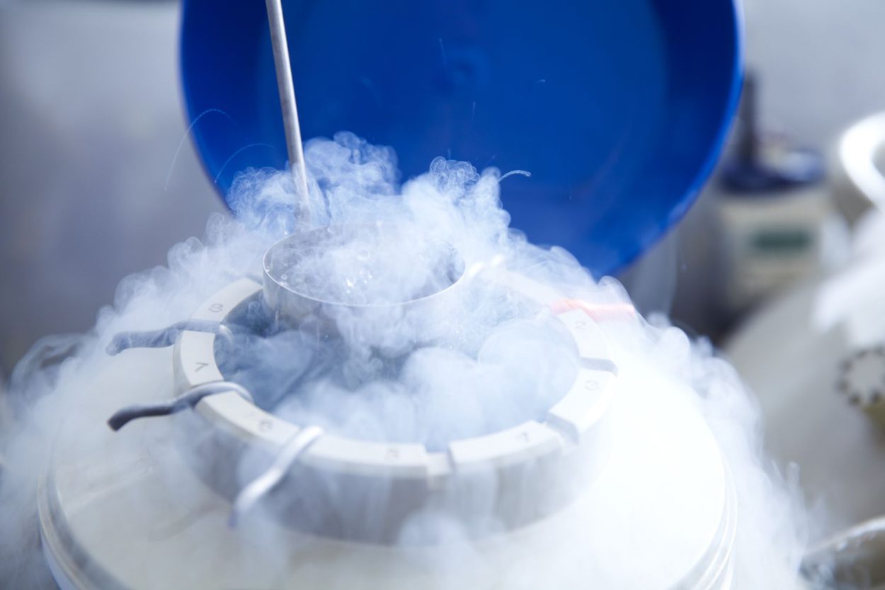 Fertility Preservation (Egg & Sperm Freezing) - IVF in Cyprus | Dr. H.I ...