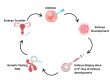 Genetic Testing