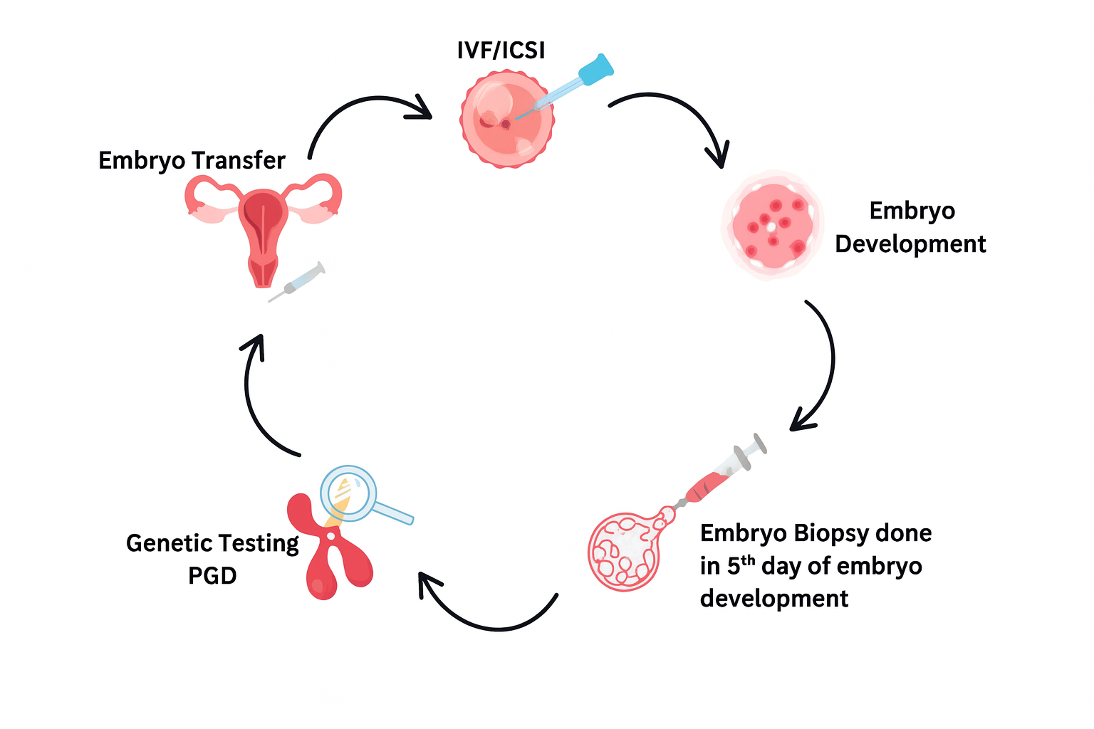 Pgd Process Preimplantation Genetic Diagnosis (PGD) - IVF in Cyprus | Dr. H.I ...